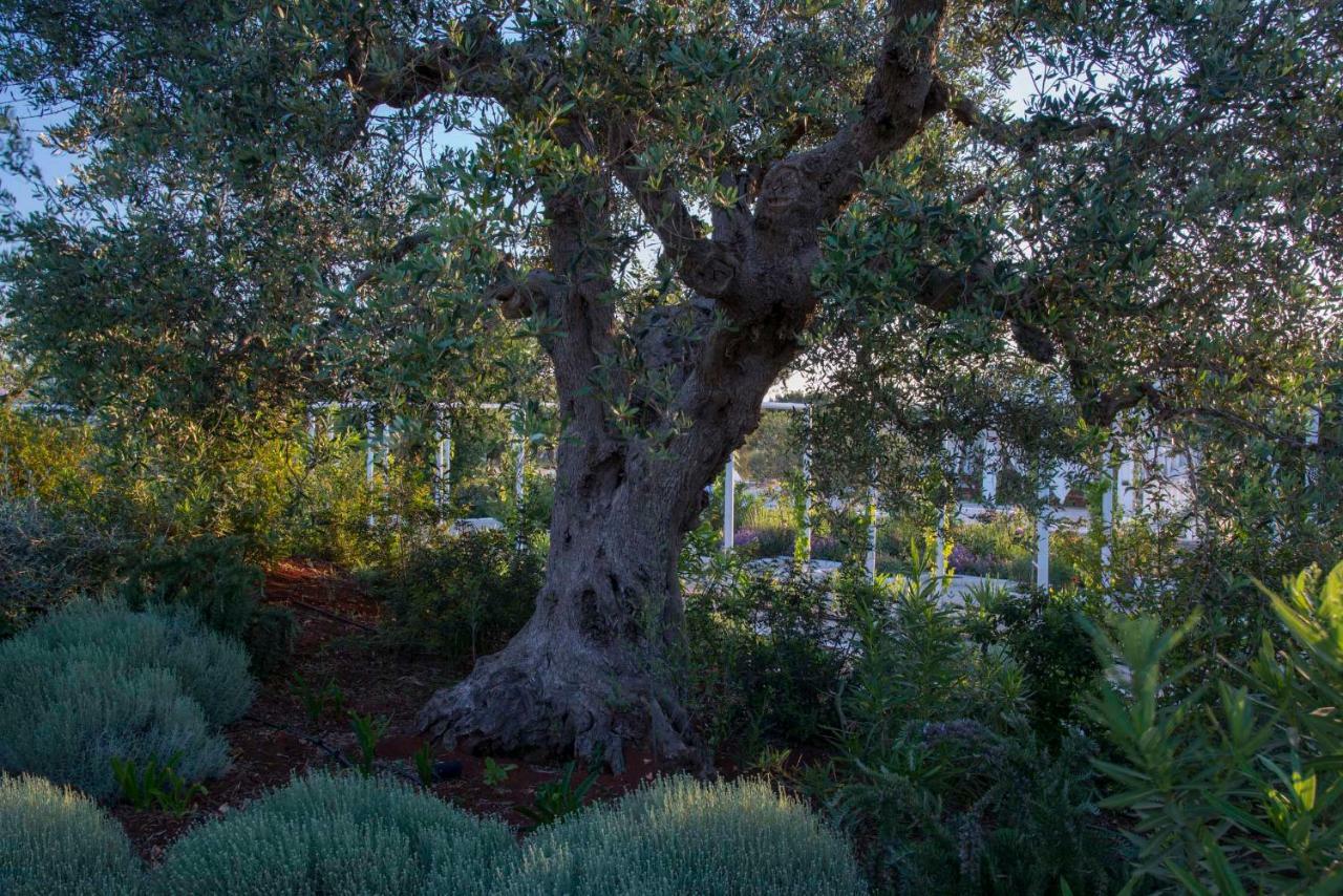 Tenuta Del Lauro Locorotondo Exteriér fotografie